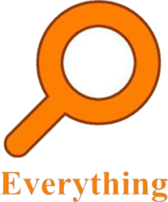 Everything官方高清Logo