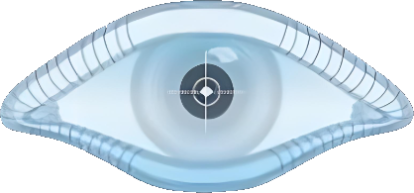 Nmap官方高清Logo
